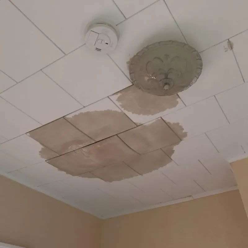 Ceiling Water Damage Repair in Lynchburg, VA