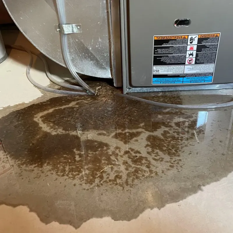Pipe Burst and Leak Restoration in Lynchburg, VA