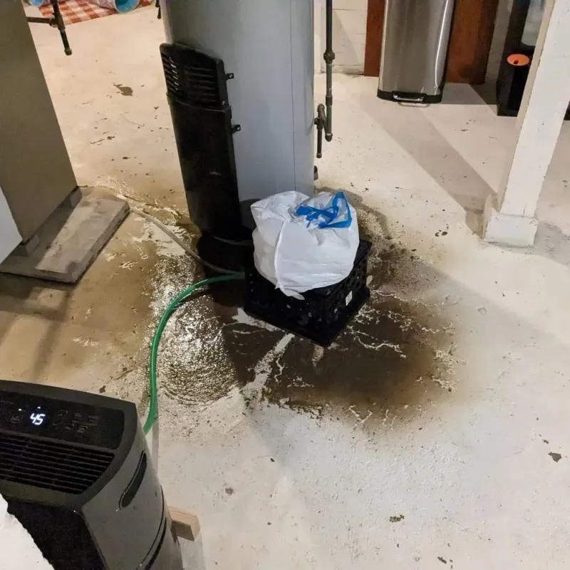 Sewage Backup Cleanup Service in Lynchburg, VA